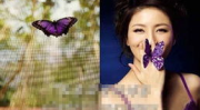 胡可孕妇写真照,孕味十足！胡可孕妇写真照展现母性光辉
